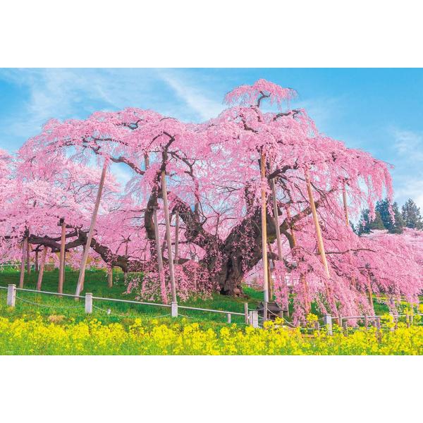 【日本製】ビバリー 1000ピース ジグソーパズル 三春の滝桜（49×72cm）1000-049