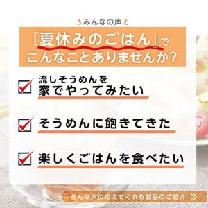 【流しそうめんMILKYWAY】送料無料 KD...の詳細画像1