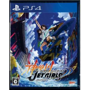 訳有り*説明文参照】【PS4】プレミアム限定版 Fate/EXTELLA LINK for