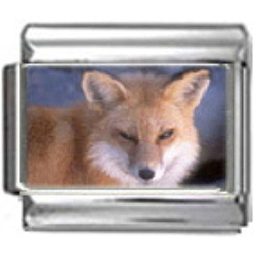 Stylysh Charms Fox Sly Wild Animal Photo Italian 9...