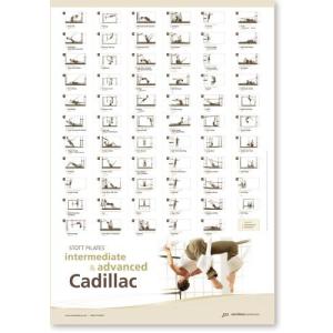 STOTT PILATES Wall Chart - Intermediate/Advanced Cadillac並行輸入品　送料無料