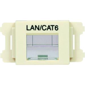 TR パンドウイット JISプレート用シャッター付きアダプタ オフホワイト LAN・CAT6  (10個入)｜ytnetshop