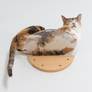 MYZOO マイズー ROUND LACK C...の詳細画像3