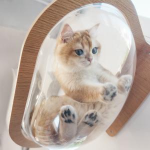 取り寄せ MYZOO マイズー AURA 星河...の詳細画像2