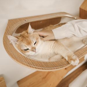 取り寄せ MYZOO マイズー AURA 星河...の詳細画像3