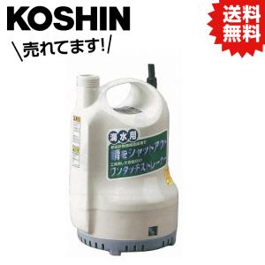 ○お得なクーポン発行中○ テラダ 寺田ポンプ S24D-100 海水 清水