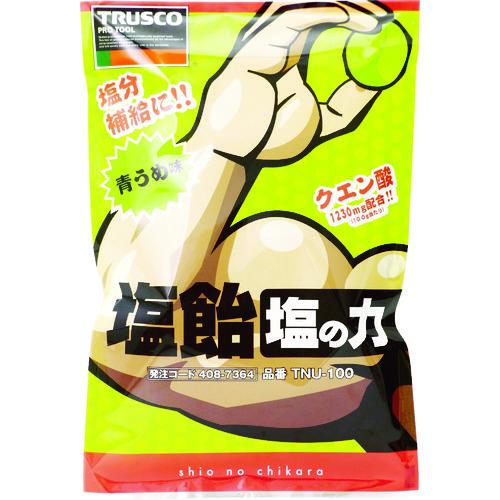 TR TRUSCO 【※軽税】塩飴 塩の力 100g袋入 青梅味  (1袋入)  #熱中症 暑さ 対...