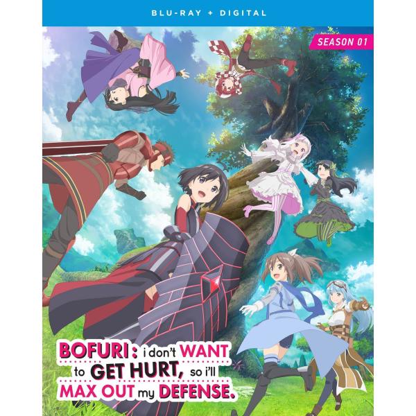 アニメ ブルーレイ 痛いのは嫌なので防御力に極振りしたいと思います シーズン1 Silver Lin...