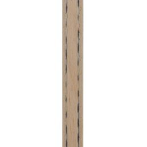 ニッタク キョウヒョウ王 FL キョウヒョウオ...の詳細画像3