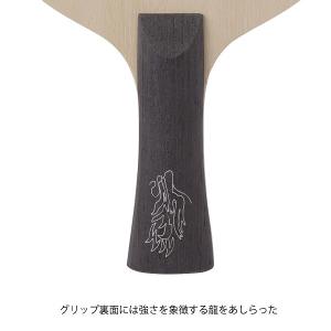 ニッタク キョウヒョウ王 FL キョウヒョウオ...の詳細画像4