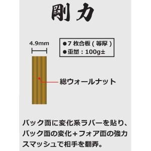 ニッタク 剛力 FL 出雲選手使用 GORIK...の詳細画像2