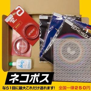 ヴィクタス(VICTAS)VO>102 小塩選...の詳細画像3