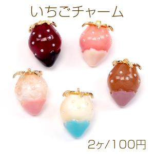 いちごチャーム 樹脂チャーム イチゴチャーム 苺チャーム 約18×24mm（2ヶ）