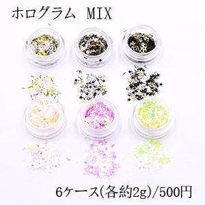ホログラム MIX ネイルパーツ カラーミックス 6色セット 各2ｇ ケース付き｜yu-beads-parts