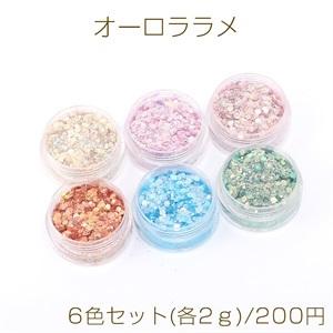 オーロララメ ケース付き ネイルパーツ レジン封入パーツ 六角形B 6色セット(各2ｇ)｜yu-beads-parts