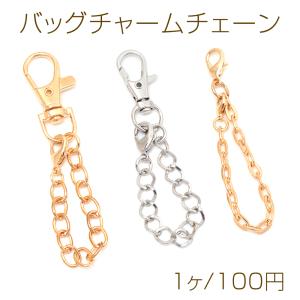 バッグチャームチェーン キーチェーン ナスカン ...の商品画像