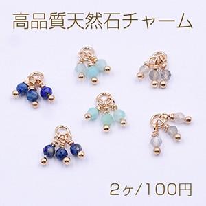 FisF03】ブラウン☆天然石チャーム