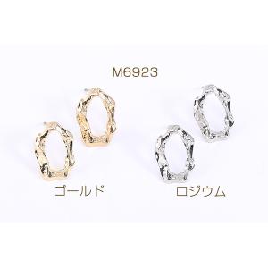デザインチタンピアス 不規則オーバル 11×1...の詳細画像1