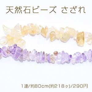 カラフル シェル さざれ石 穴あり 10g 天然石 貝 マリン パーツ