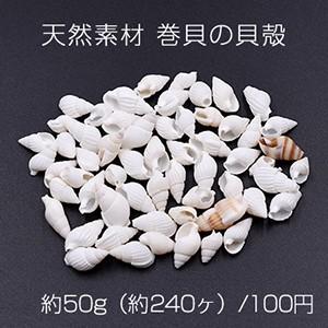 天然素材 巻貝の貝殻 ハンドメイド用【約50g（約240ヶ）】｜yu-beads-parts