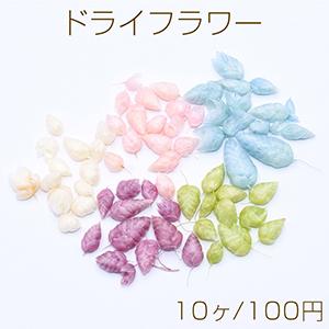 ドライフラワーNo.2 ドライフラワー染色 ケース付き レジン封入用【10ヶ】｜yu-beads-parts