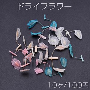 ドライフラワーNo.3 ドライフラワー染色 レジン封入用【10ヶ】｜yu-beads-parts