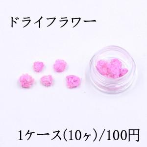 ドライフラワー レジン封入用 ダークピンク【1ケース】｜yu-beads-parts