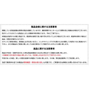スタンダード床材用 ステンレス製スタートクリッ...の詳細画像5