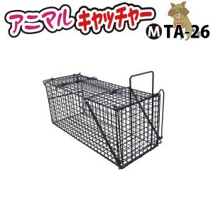 小動物キャッチャー 大 約360×950×370mm 小動物キャッチャー(大) 外バネ式 TA36 幅360×長さ950×高さ370mm