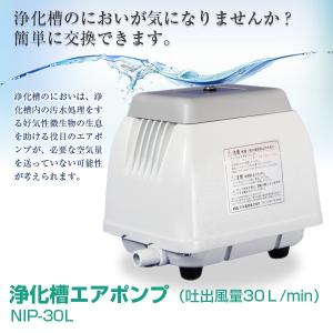 工進（KOSHIN） 浄化槽用エアーポンプ コーシンブロワポンプ AK-30