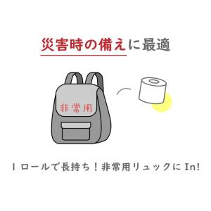 業務用 ワンタッチ 芯なし トイレットペーパー...の詳細画像4