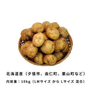 北海道産 新じゃがいも 北あかり 10kg LMサイズ から Lサイズ