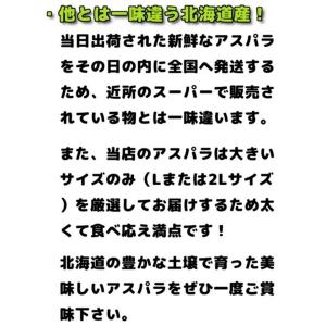 【予約】グリーンアスパラガス 500g 前後 ...の詳細画像2