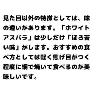 【予約】グリーンアスパラガス 500g 前後 ...の詳細画像5