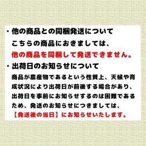 夕張メロン 訳あり 8kg 前後 個選品 3玉...の詳細画像4