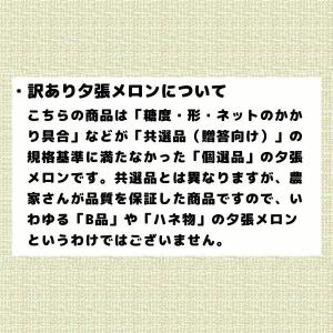 夕張メロン 訳あり 8kg 前後 個選品 3玉...の詳細画像5