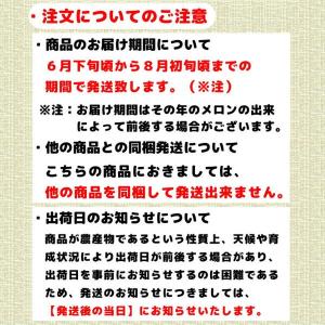 夕張メロン 1玉 共選品 優品 1.3kgから...の詳細画像4