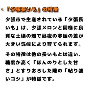 夕張長芋 訳あり 10kg 前後 SからLサイ...の詳細画像2