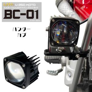 タケガワ　ハンターカブ125（JA55/65用）LEDフォグランプキット スペシャルパーツ武川 SP武川 CT125ハンターカブ JA55 / JA65用