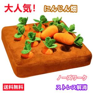 ペット 犬 おもちゃ にんじん畑 ノーズワーク ペット 用品 犬用品 犬用おもちゃ ストレス解消 遊び 人参 猫 ねこ 送料無料※北海道 沖縄 離島等を除く