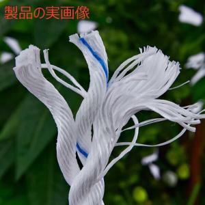アンカーロープ ボート ロープ 船用 係留ロー...の詳細画像1