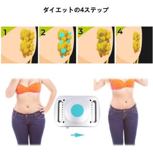 冷凍ダイエットマシン 脂肪凍結機 ポータブル ...の詳細画像5