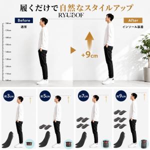 インソール シークレット おすすめ 背が高くな...の詳細画像1