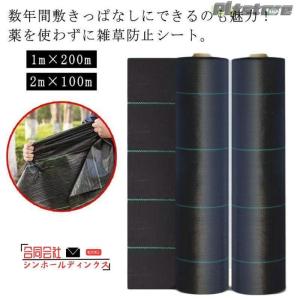 pltstore草 草除け 2m×100m 除...の詳細画像4