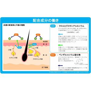 アルテノール(デオブランカローション)制汗・防臭剤の詳細画像2