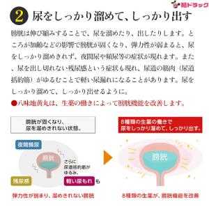 【第2類医薬品】 クラシエ八味地黄丸A 360...の詳細画像2