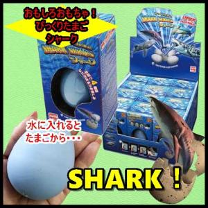 サメおもちゃ びっくりたまご シャーク Fcn460 ユイガハマーケット 通販 Yahoo ショッピング