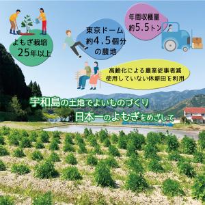 1袋 よもぎ湯で癒しの時間 愛媛県宇和島産ヨモ...の詳細画像2