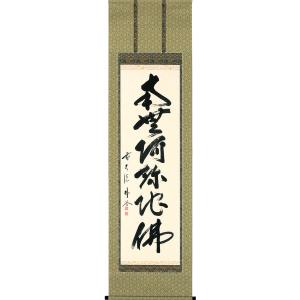掛軸 (掛け軸) 正信念仏偈 (金字) 南無阿弥陀仏 高岡光林 尺五立 約横