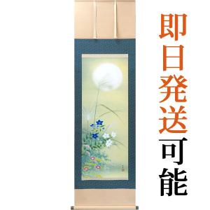 茶道具 掛軸 掛け軸 横軸画賛 藤原定家 詠花鳥和歌 6月 鵜 福本